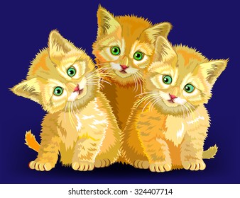 Three little kittens, vector cartoon image