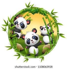 Three little panda are playing together