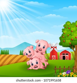 Three little pig playing in the farm 