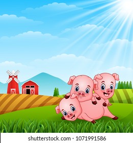 Three little pig playing in the hills