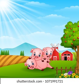 Three little pig playing on daylight 