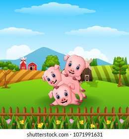 Three little pig playing together 