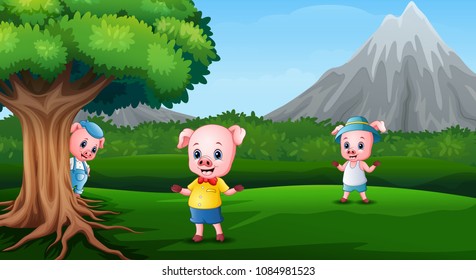 Three little pigs are playing together