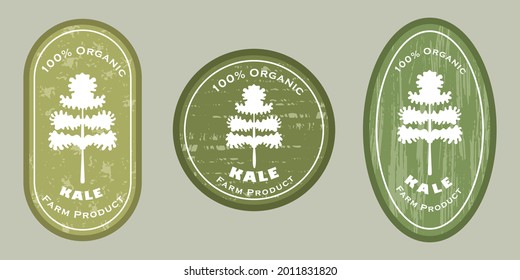 Three logo patches with kale leaf icon and texture. Badge for packages with organic farm grown kale or leaf cabbage. Different shapes of the badges. Emblems for farm products packaging.