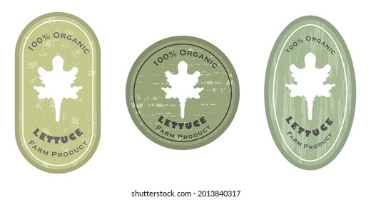 Three logo patches with lettuce leaf icon and texture. Badge for packages with organic farm grown lettuce salad. Different shapes of the badges. Emblems for farm products packaging.