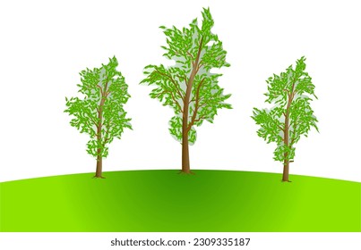 Three lonely trees on top of a hill. Vector illustration isolated on white background.