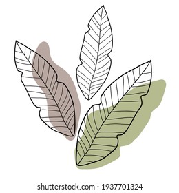 Three long leaves on a calm green and pink-brown spots. Isolated floral illustration. White background. Suitable for poster, banner, label, card.
