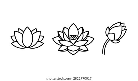 Three lotus flower illustrations