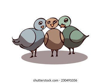 Three lovely Pigeons Cuddling, Vector Illustration isolated on White Background. 