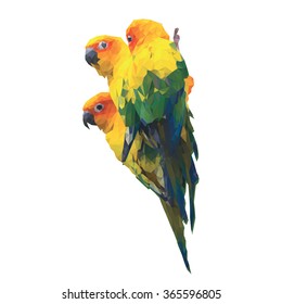 Three low poly Sun Conure parrots. Colorful isolated vector