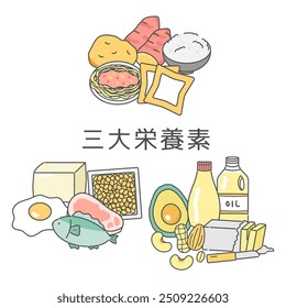 Three major nutrients illustration set Translation: Three major nutrients