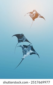 Three manta rays gracefully swimming in gradient blue waters. Dreamy minimalist sumi-e painting.