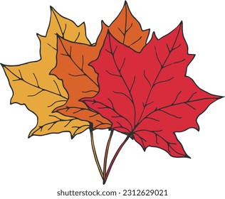 Three maple leaves in different autumn colors red, orange and yellow. Hand drawn botanical elements isolated on white background