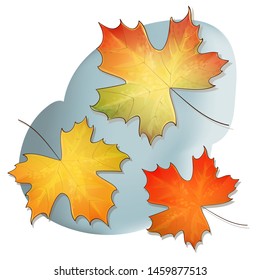 Three maple leaves of different colors. Vector illustration hand drawing, watercolor.