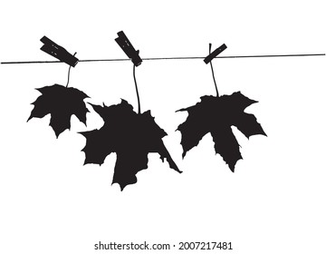 Three maple leaves on a rope on clothespins. Black silhouette.
