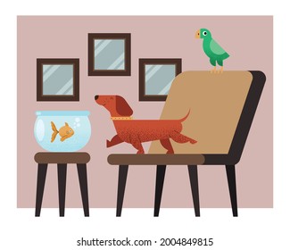 tres mascotas en la escena de la casa