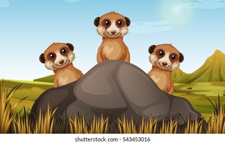 Three meerkats behind the stone illustration