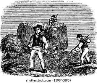 Three men making hay, vintage line drawing or engraving illustration