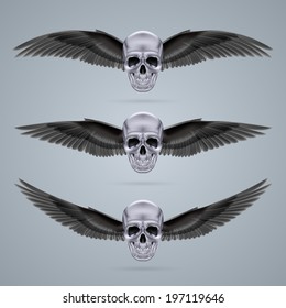 Three metal chrome skulls with two crow wings each.