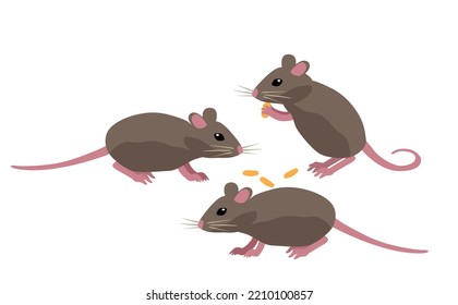 Three mice icon. Rats eat seeds, corn sticks or pieces of cheese. Mammal, small gray rodents. Wild life, fauna and nature, biology. Poster or banner for website. Cartoon flat vector illustration