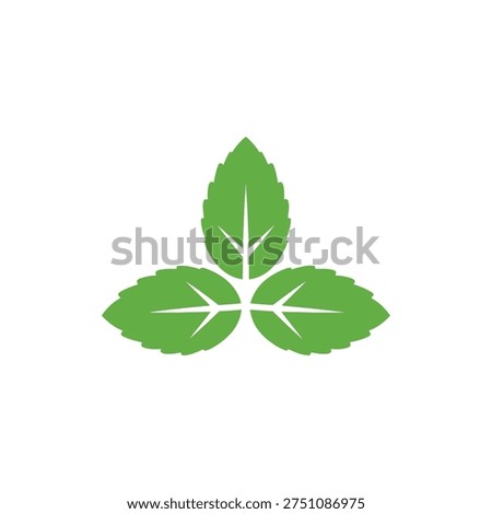 Three Mint Leaves in Triangular Arrangement Herbal Flat 2D Vector Illustration
