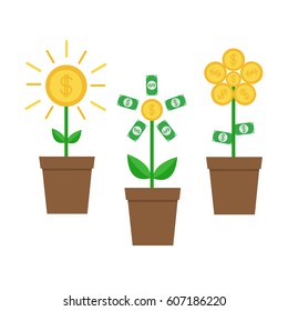 Three money trees. Flat design. Isolated. White background. Vector illustration