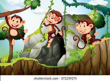 Three monkeys hanging on the branch  illustration