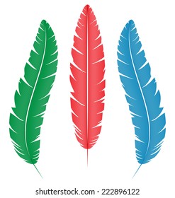 Three multicolored feathers isolated on white background
