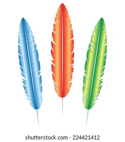 Three multicolored feathers isolated on white background