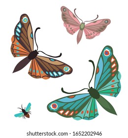 
Three multi-colored stylized decorative moths isolated on a white background