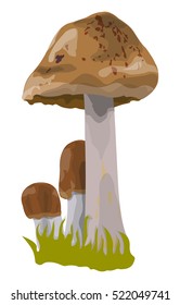 three mushrooms