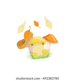 Three Mushrooms As Autumn Attribute