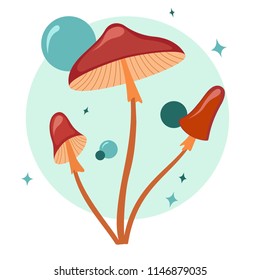 Three mushrooms with bubbles and stars. Vector poison mushrooms with bright details