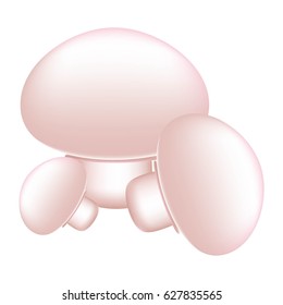 Three mushrooms champignons