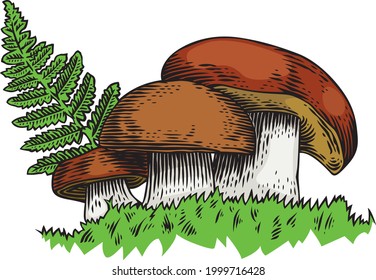 Three mushrooms with fern on the grass
