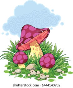 Three mushrooms on the grass