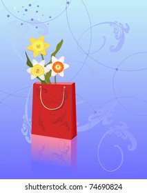 Three narcissus in a gift package