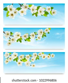 Three nature banners with blossoming tree brunch and blue sky. Vector illustration. 