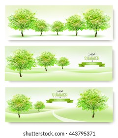 Tres carteles de verano naturales. Vector.