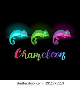 Three neons chameleons of different colors on a black background (blue, green and purple) with the inscription "chameleon". For design of t-shirts, flyers, banners, etc. Vector illustration EPS10