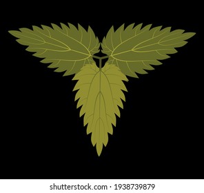 Three nettle leaves on a black background, useful plant, logo, icon