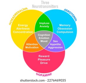 Three neurotransmitters, dopamine, serotonin, noradrenaline, norepinephrine. Emotional roles. Brain happiness hormones function. Intersecting sets. Mood, memory, emotion, attention color chart. Vector