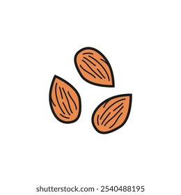three nuts on white background. minimalist vector graphic