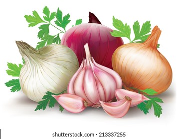 Three onions bulbs of different colors and garlic on a white background. vector