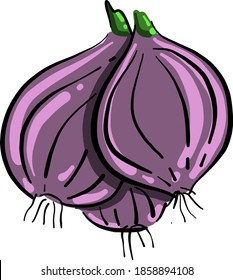 Tres cebollas, ilustración, vector sobre fondo blanco