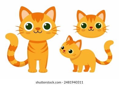 Three orange cats stand side by side on white background