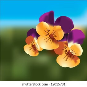 Three orange violet. On a background abstract blurred green fields.