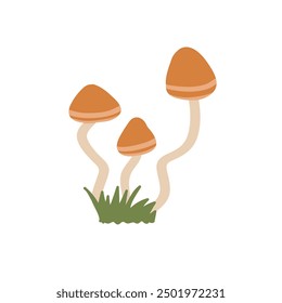 Three orange-capped mushrooms with slender, wavy stems grow out of a small patch of green grass, set against white background. The simple, minimalistic illustration exudes natural and whimsical feel.