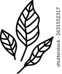 Three outlined leaves with detailed veins in a clean line style. Trio of stylized foliage elements drawn with bold lines. Cartoon vector illustration.