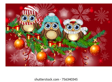 Three owls in caps, scarves, headphones on a spruce branch decorated with balls, garlands. Christmas card